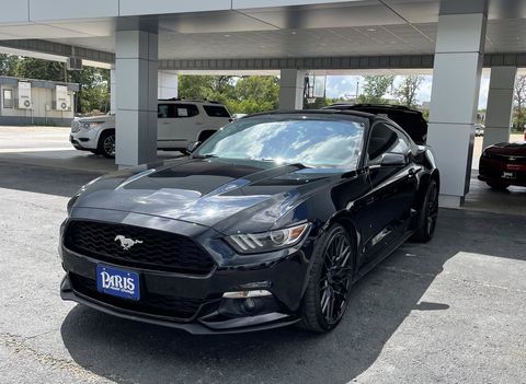 NATALEE                        from PARIS                         , TX        