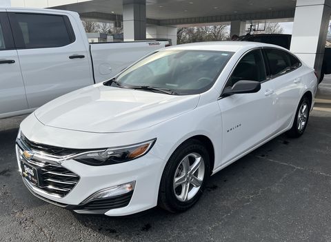 TOBY                           from ROXTON                        , TX        