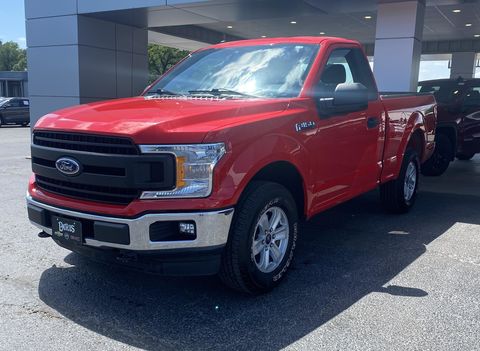 CHANCY from BOGATA, TX