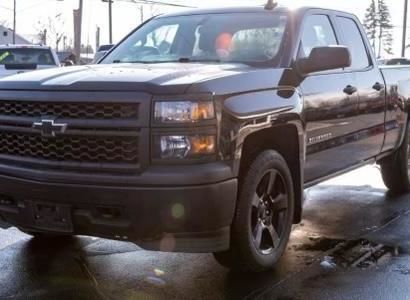 CHRIS                          from BLOSSOM                       , TX        