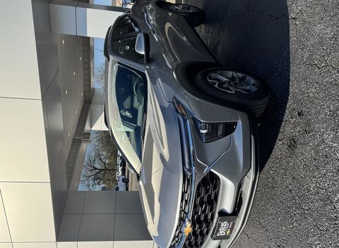 THERESA from PARIS, TX