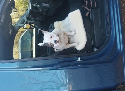 DENVER from CLARKSVILLE, TX