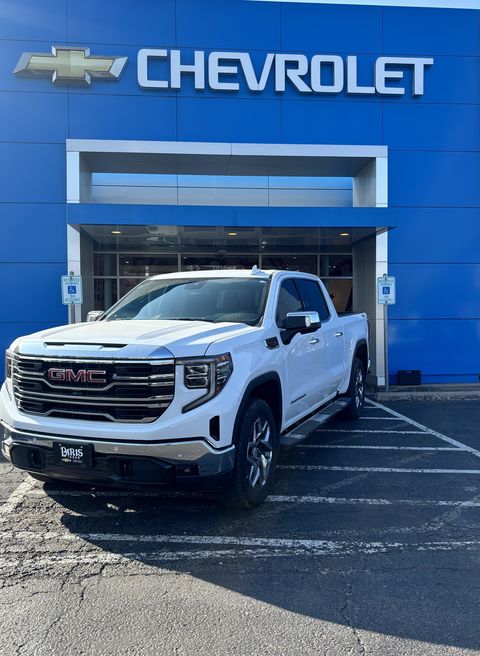 SUSAN from ATLANTA, TX