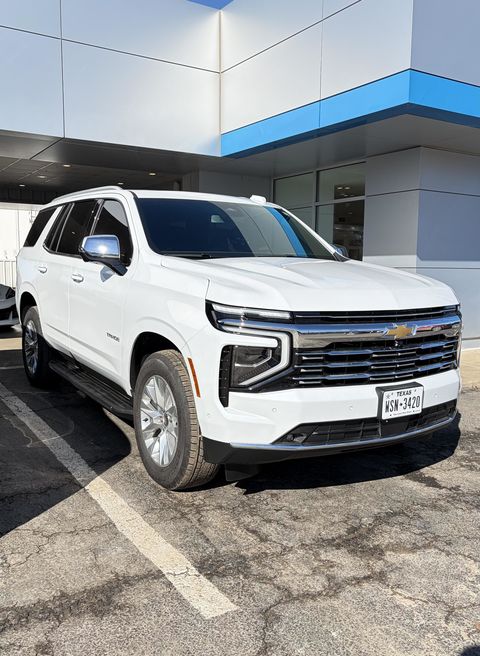 SHELBY from WOLFE CITY, TX