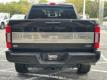  2022 Ford F-250SD Platinum for sale in Paris, Texas