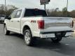  2015 Ford F-150 Platinum for sale in Paris, Texas