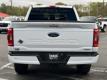  2023 Ford F-150 XLT for sale in Paris, Texas