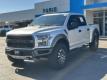  2019 Ford F-150 Raptor for sale in Paris, Texas