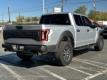  2019 Ford F-150 Raptor for sale in Paris, Texas