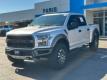  2019 Ford F-150 Raptor for sale in Paris, Texas