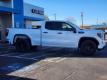  2025 GMC Sierra 1500 Pro for sale in Paris, Texas