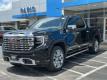  2025 GMC Sierra 1500 Denali for sale in Paris, Texas