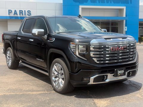 New Onyx Black 2026 GMC Sierra 1500 Denali 4WD - photo 14 - Stock #261252