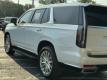  2024 Cadillac Escalade Premium Luxury for sale in Paris, Texas