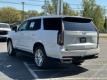  2024 Cadillac Escalade Premium Luxury for sale in Paris, Texas