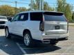  2024 Cadillac Escalade Premium Luxury for sale in Paris, Texas