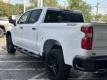  2025 Chevrolet Silverado 1500 LT Trail Boss for sale in Paris, Texas