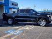Leveled 2021 GMC Sierra 1500 Denali for sale in Paris, Texas