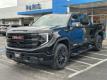  2025 GMC Sierra 1500 Elevation for sale in Paris, Texas