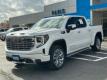  2024 GMC Sierra 1500 Denali for sale in Paris, Texas