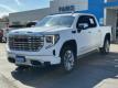  2022 GMC Sierra 1500 Denali for sale in Paris, Texas