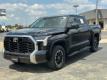  2022 Toyota Tundra SR5 for sale in Paris, Texas