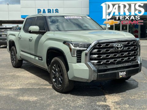 Lunar 2024 Toyota Tundra Platinum 4WD for sale in Paris, TX - Stock #260700A