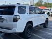  2024 Toyota 4Runner SR5 Premium for sale in Paris, Texas