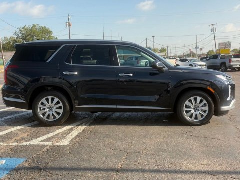 Certified Pre-Owned Moonlight Cloud 2025 Hyundai Palisade SEL AWD - photo 4 - Stock #A1089
